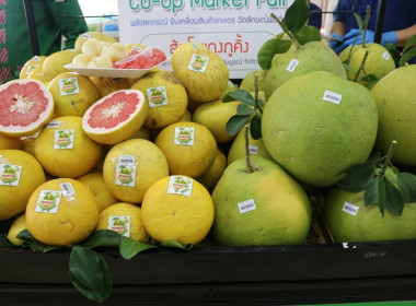 Co-op Market fair พลังสหกรณ์ ขับเคลื่อนสินค้าเกษตร ... พารามิเตอร์รูปภาพ 6